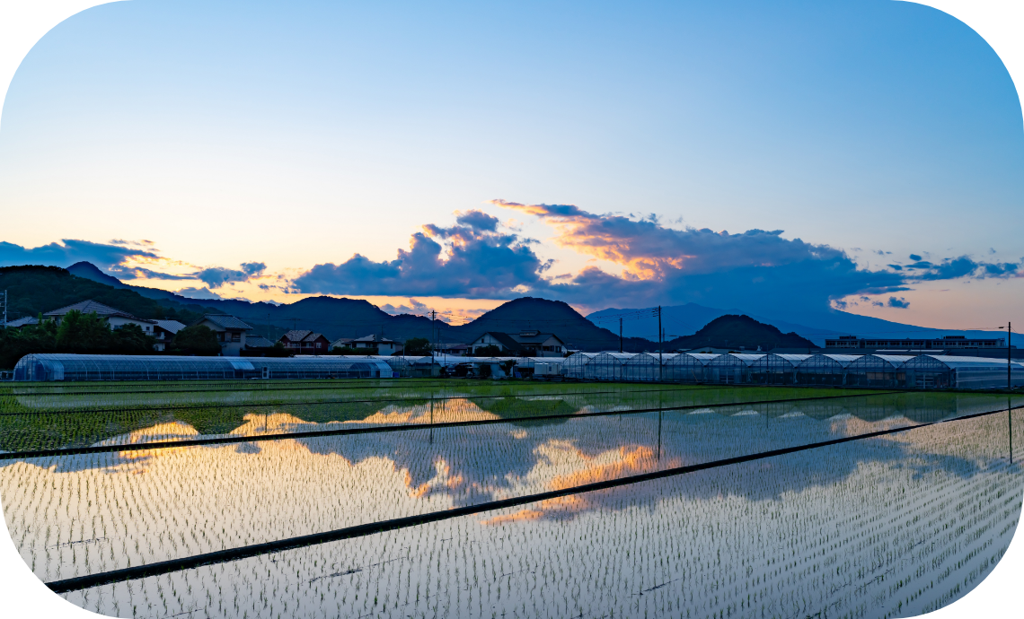 FV写真